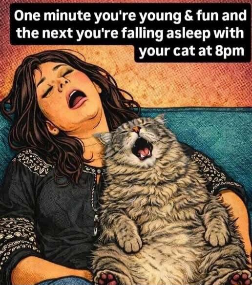 One minute you're young & fun and the next you're falling asleep with your cat at 8pm