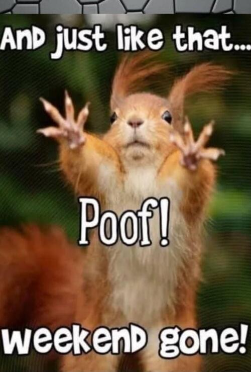 And just like that... Poof! weekend gone!