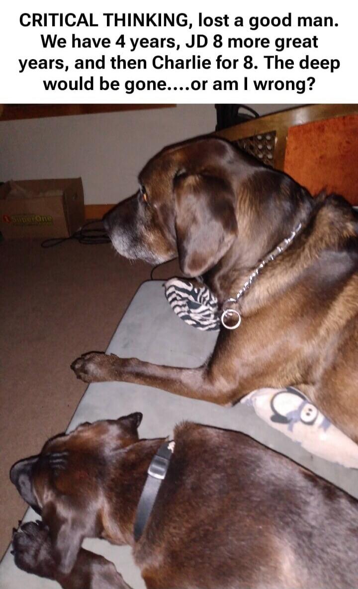 CRITICAL THINKING, lost a good man. We have 4 years, JD 8 more great years, and then Charlie for 8. The deep would be gone.....or am I wrong?