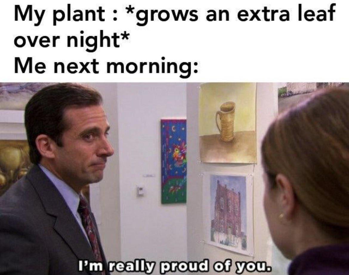 My plant grows an extra leaf over night Me next morning
