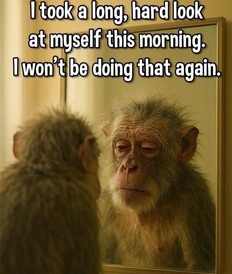 I took a long, hard look at myself this morning. I won't be doing that again.