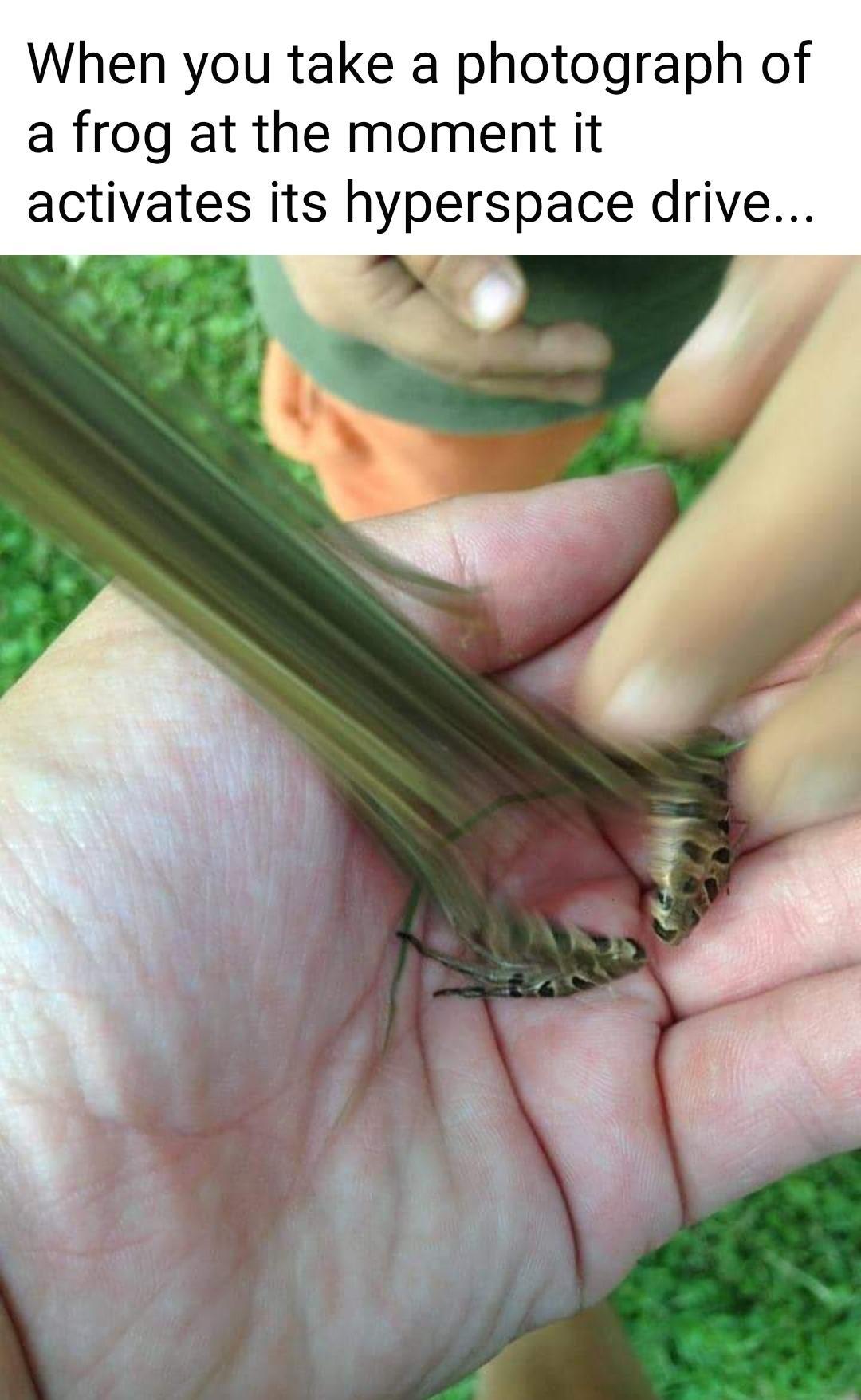 When you take a photograph of a frog at the moment it activates its hyperspace drive