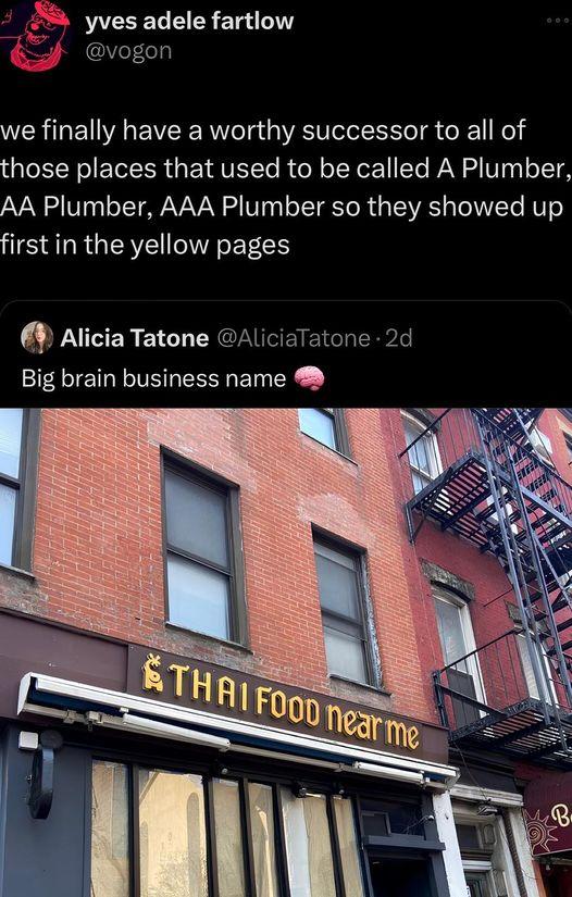 Q PACEEL CIE Elgi T vogon we finally have a worthy successor to all of those places that used to be called A Plumber AA Plumber AAA Plumber so they showed up firstin the yellow pages Alicia Tatone Big brain business name liciaTatone 2d