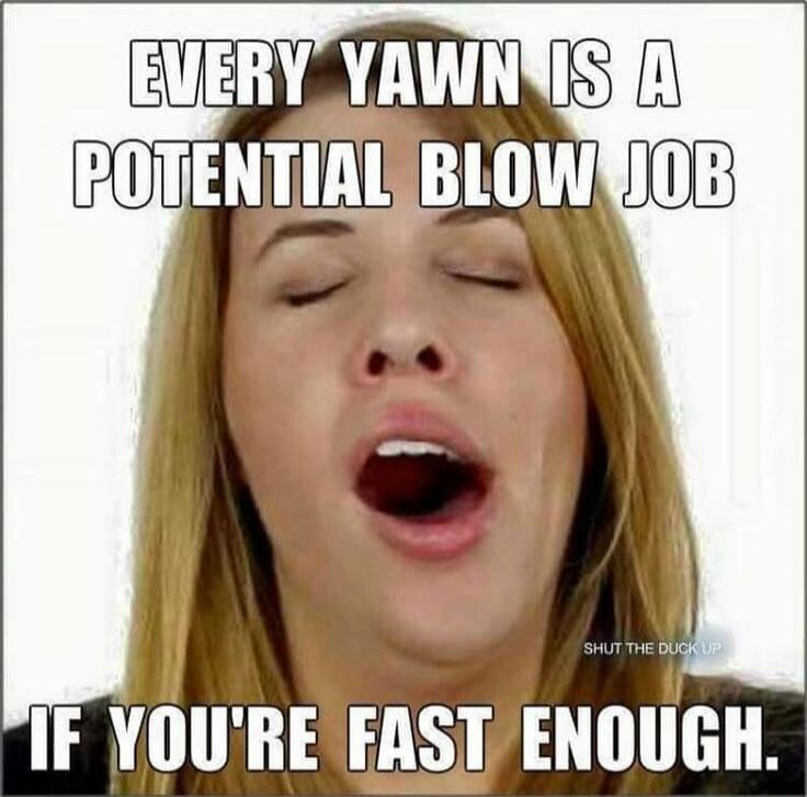 EVERY YAWN IS A POTENTIAL BLOW JOB IF YOU'RE FAST ENOUGH. SHUT THE DUCK UP