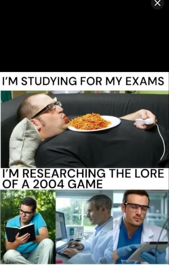 I'M STUDYING FOR MY EXAMS
I'M RESEARCHING THE LORE OF A 2004 GAME