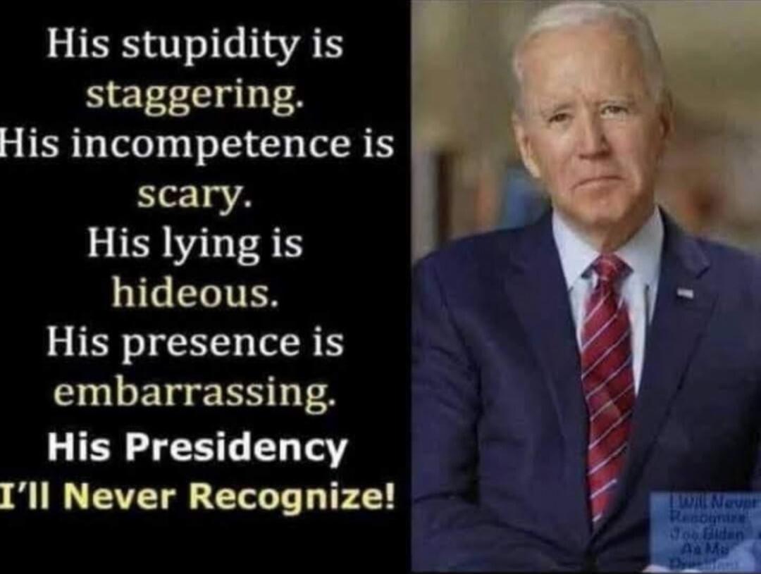 His stupidity is staggering. His incompetence is scary. His lying is hideous. His presence is embarrassing. His Presidency I'll Never Recognize!