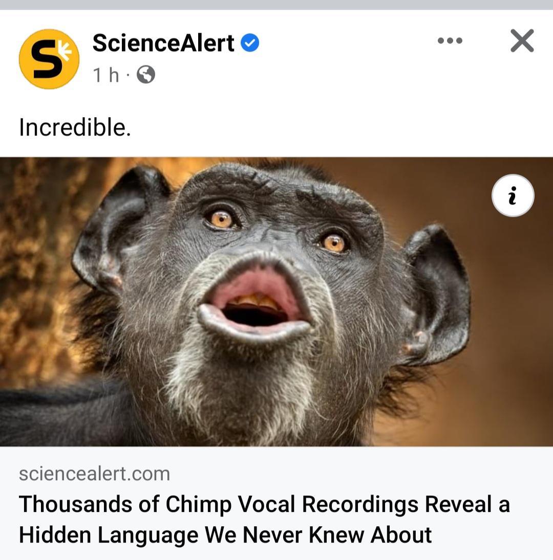 ScienceAlert 1h Q Incredible sciencealertcom Thousands of Chimp Vocal Recordings Reveal a Hidden Language We Never Knew About
