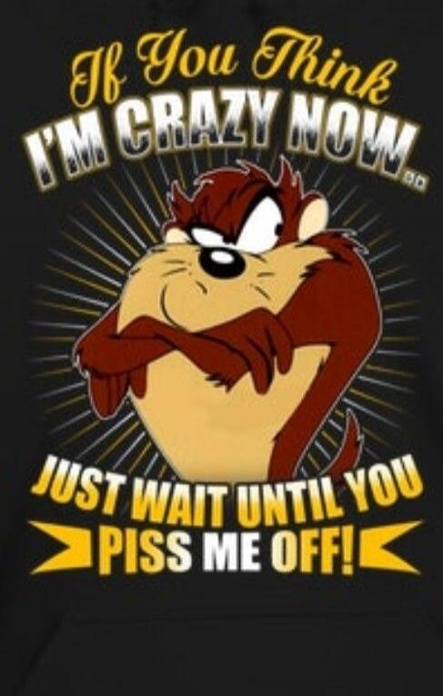 If You Think I'M CRAZY NOW JUST WAIT UNTIL YOU PISS ME OFF!