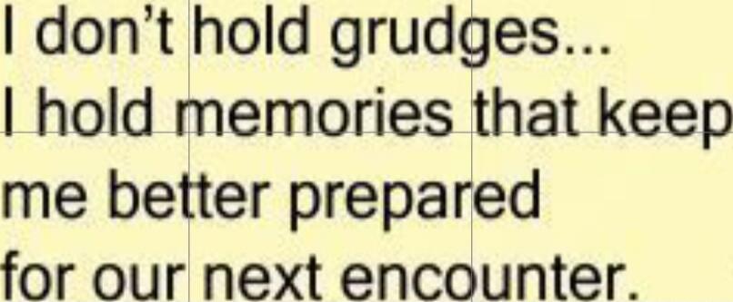 I don't hold grudges... I hold memories that keep me better prepared for our next encounter.