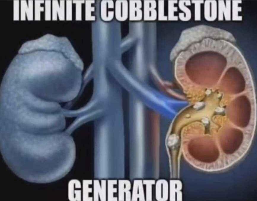 INFINITE GUBBLES TUNE PN vlli