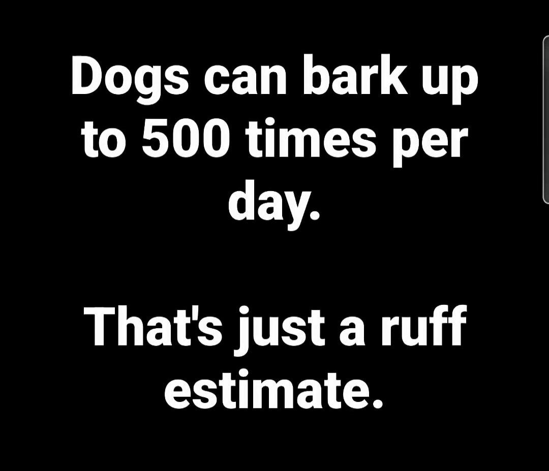Dogs can bark up to 500 times per day. That's just a ruff estimate.