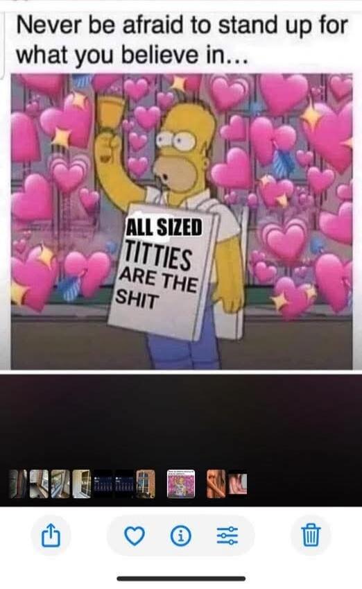 Never be afraid to stand up for what you believe in... ALL SIZED TITTIES ARE THE SHIT