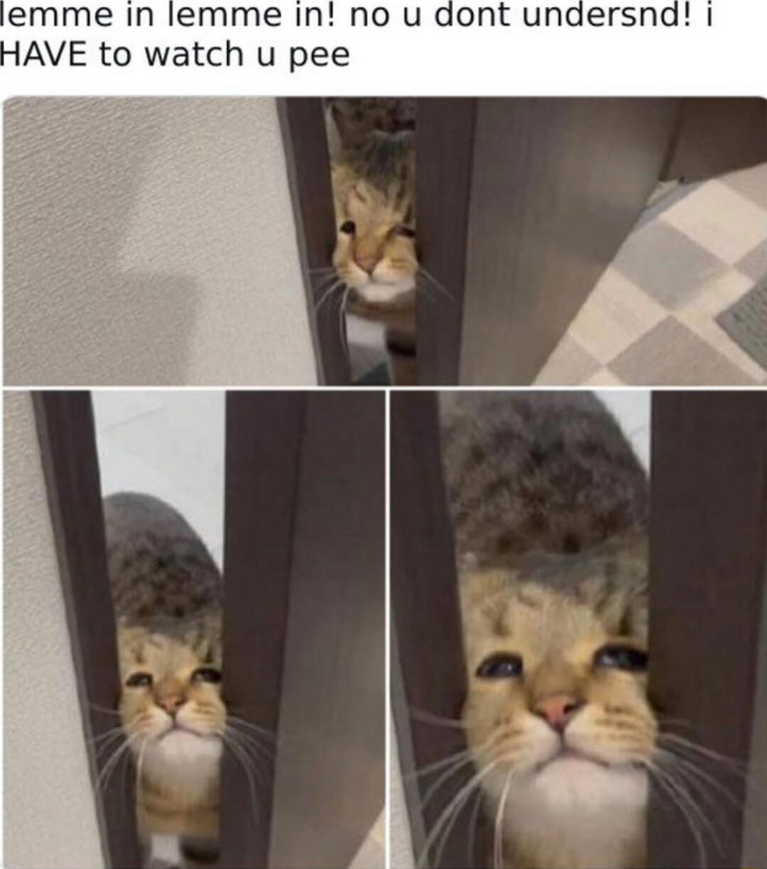 emme In lemme In no u dont undersna AVE to watch u pee