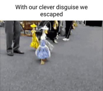 With our clever disguise we escaped