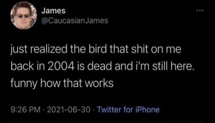 just realized the bird that shit on me back in 2004 is dead and i'm still here. funny how that works