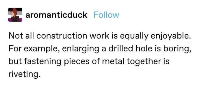 E aromanticduck Follow Not all construction work is equally enjoyable For example enlarging a drilled hole is boring but fastening pieces of metal together is riveting