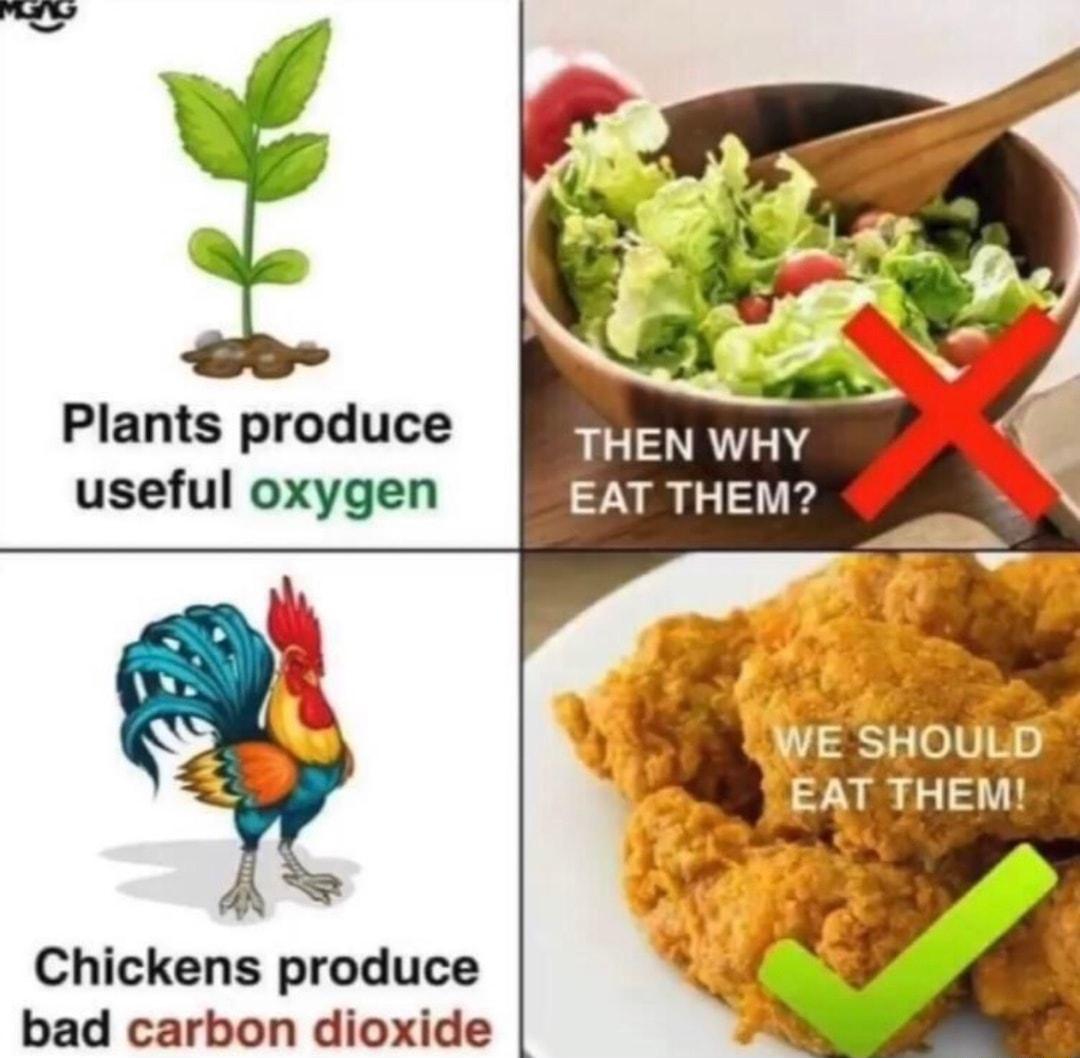 Plants produce useful oxygen Chickens produce bad carbon dioxide