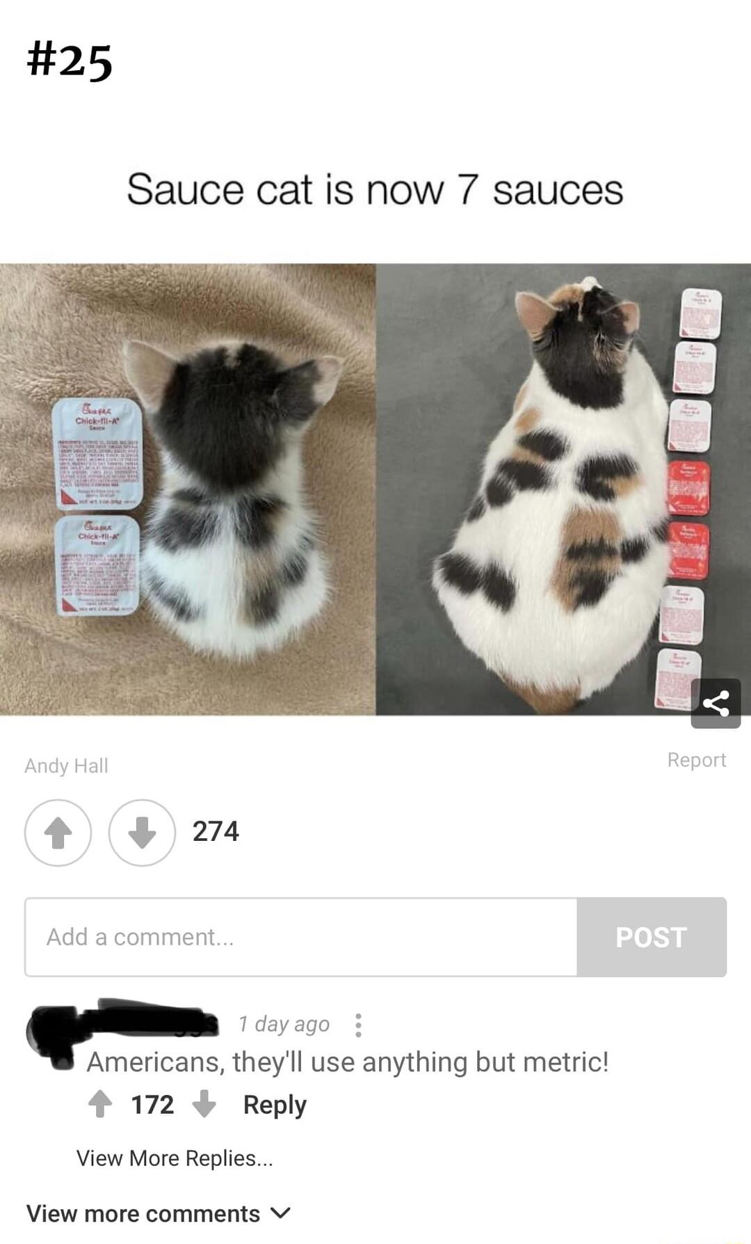 25 Sauce cat is now 7 sauces Americans theyll use anything but metrict 4 172 Reply View More Replies View more comments v