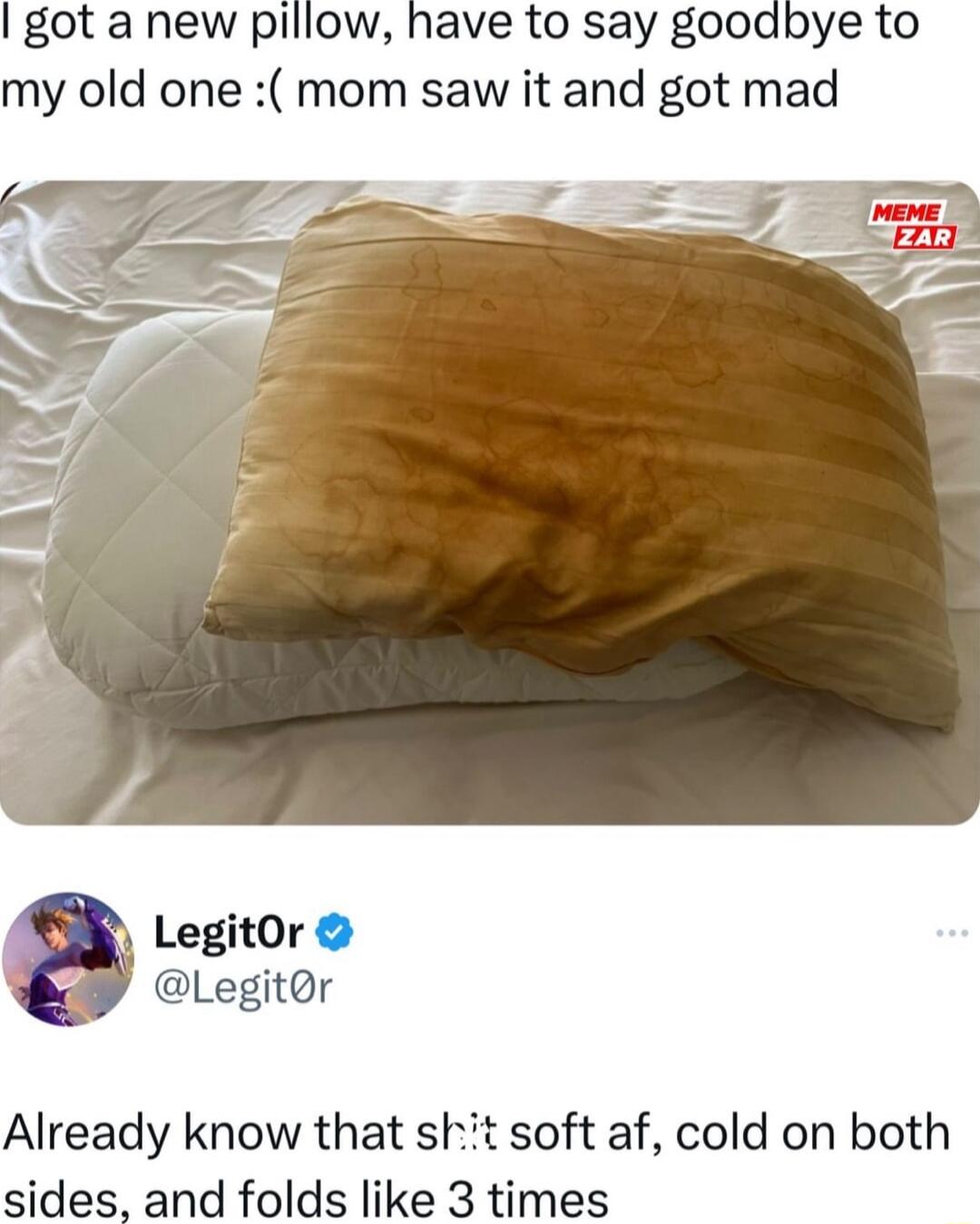 got a new pillow have to say goodbye to my old one mom saw it and got mad 1 LegitOr F Legitor Already know that skt soft af cold on both sides and folds like 3 times