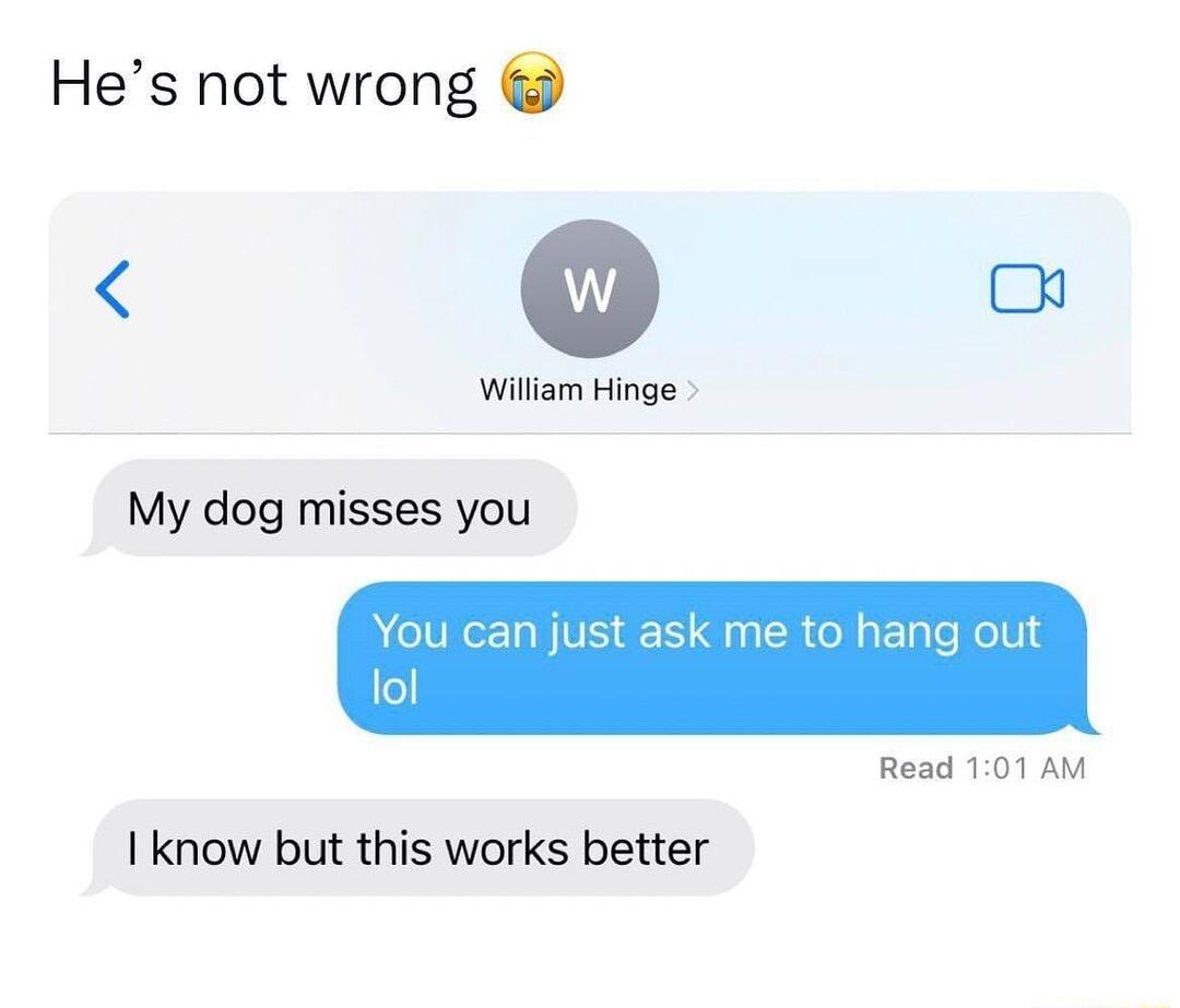 Hes not wrong W o William Hinge My dog misses you an Read 101 AM I know but this works better