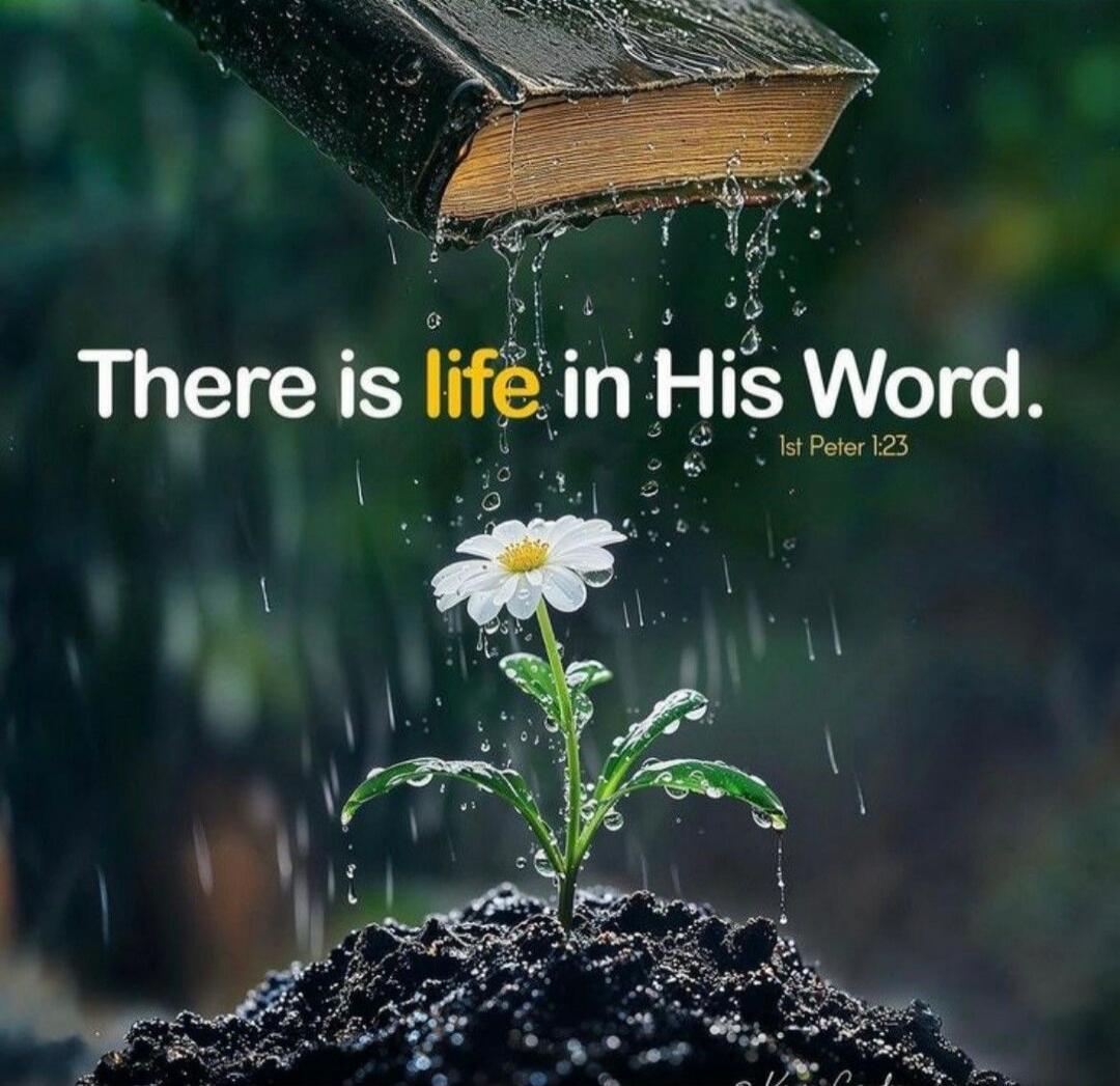 There is life in His Word. 1 Peter 1:23