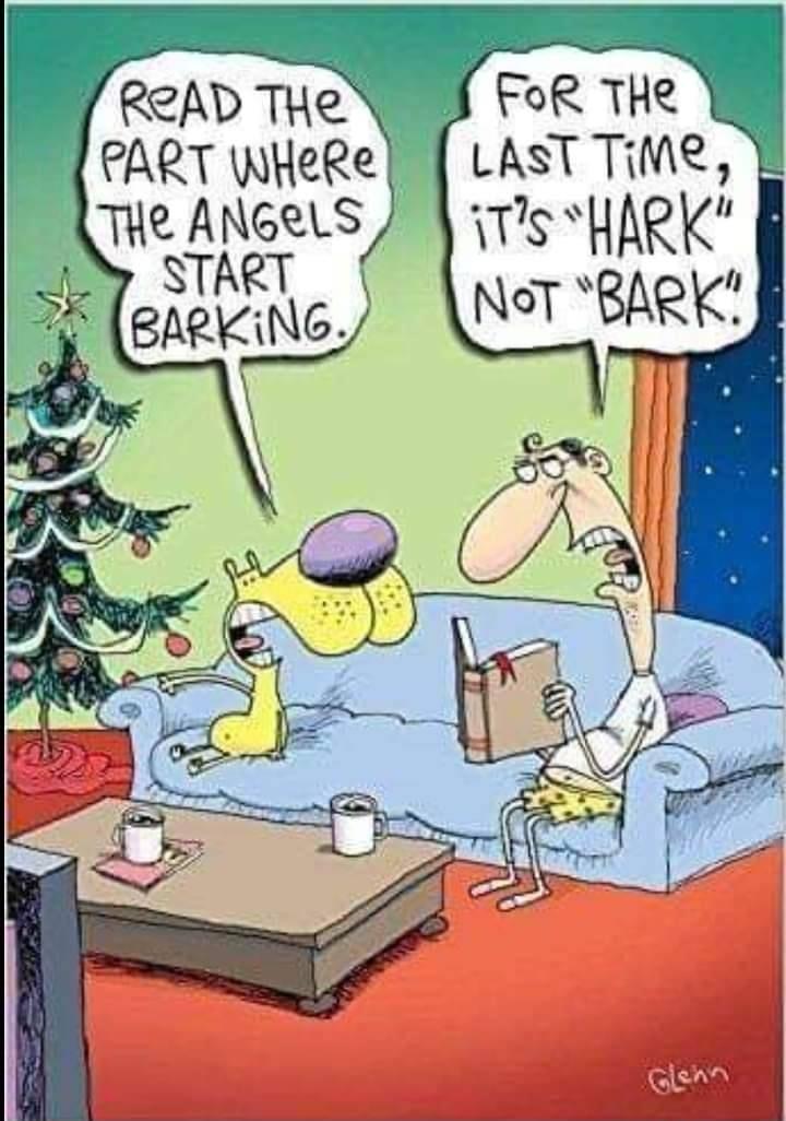 ReAD THe FoR THe PART WHeRe LAST TiMe 73 H ARK NoT BARK