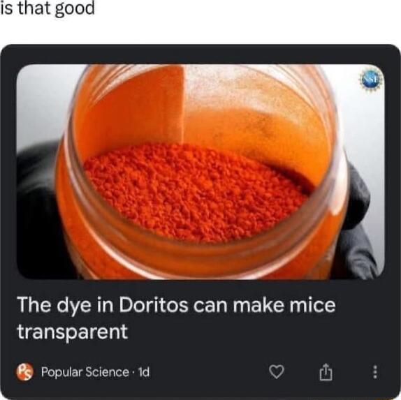 The dye in Doritos can make mice LELEETENT Popular Science 1d i 3