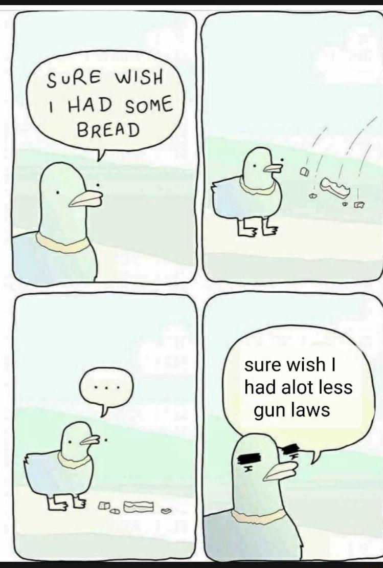 SuRE WISH HAD somE BREAD sure wish had alot less gun laws