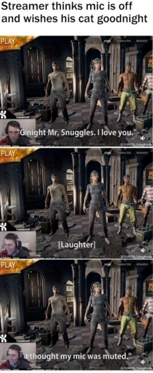 Streamer thinks mic is off and wishes his cat goodnight R t S lght Mr Snuggles love you ELAV 3 R e F Laughter o s GV Pt al COE N R e A iought my mic was muted