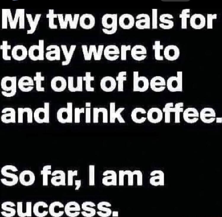My two goals for o Te EEVTATTET 8 o get out of bed and drink coffee ST CTA R success