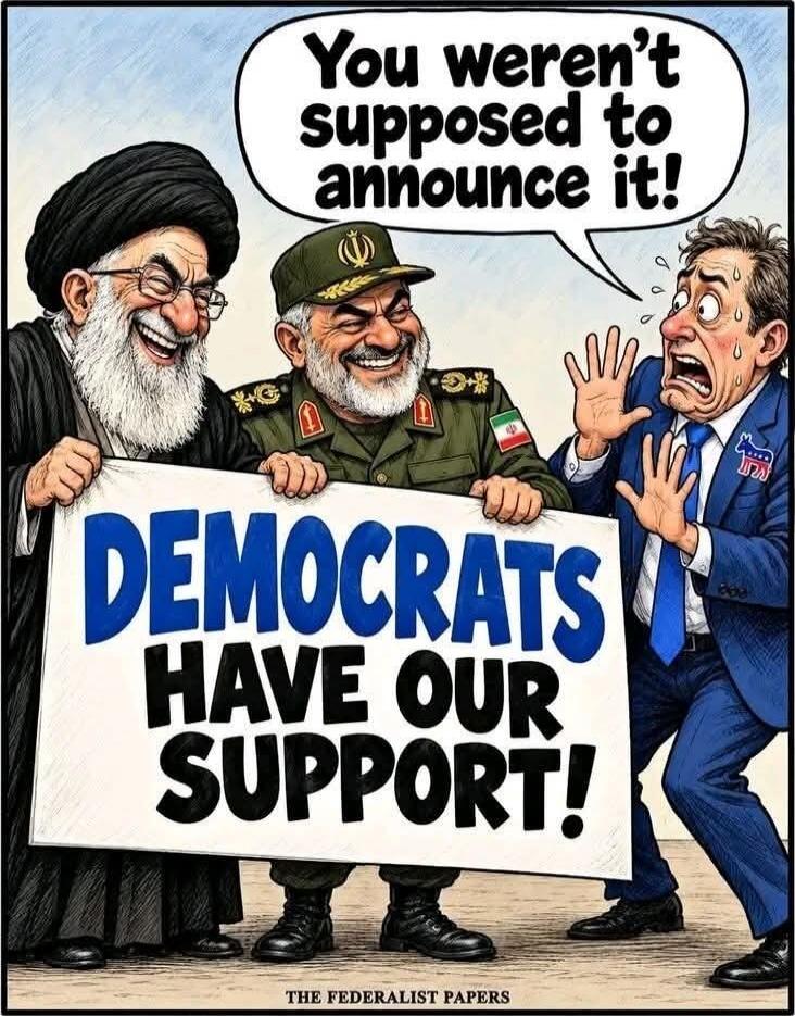 DEMOCRATS HAVE OUR SUPPORT! You weren't supposed to announce it! THE FEDERALIST PAPERS