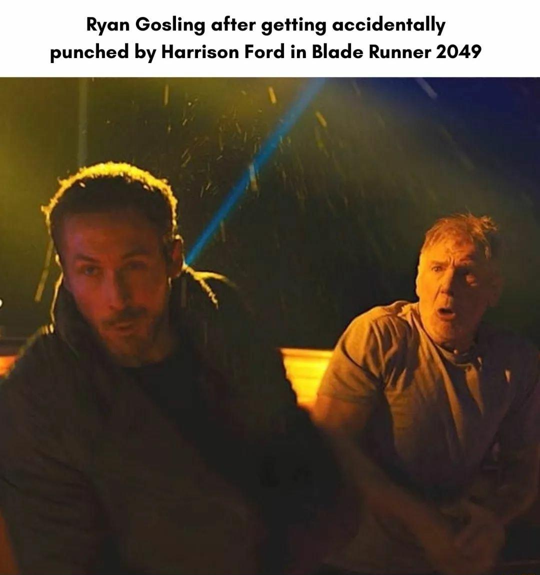 Ryan Gosling after getting accidentally punched by Harrison Ford in Blade Runner 2049