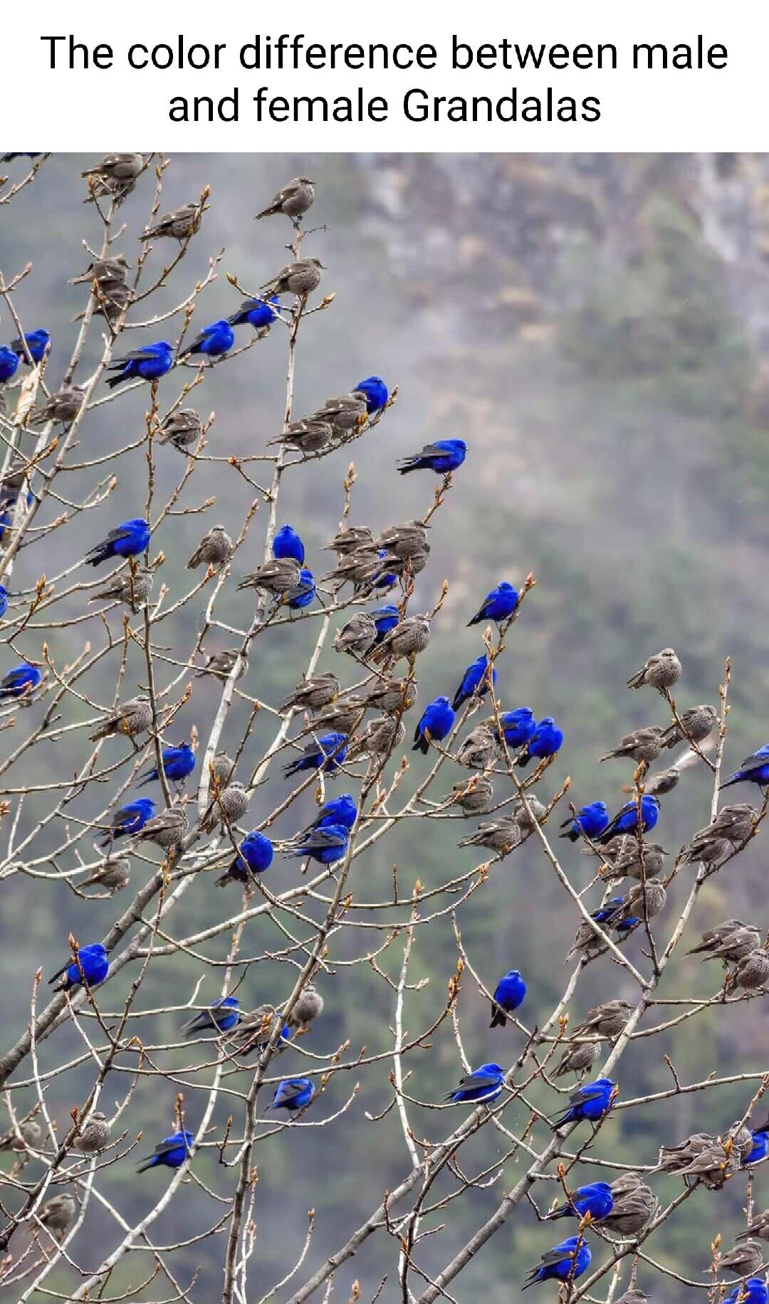 Q c 12 3w Z3 e 2 g0 S o m 52 52 Ioa o g