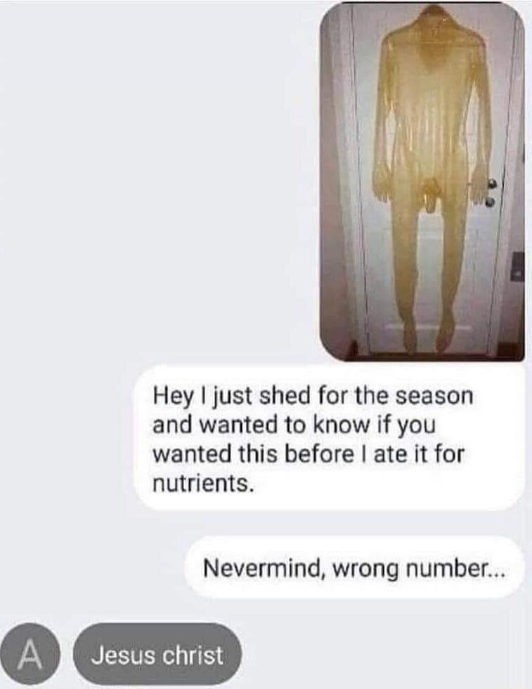 Hey I just shed for the season and wanted to know if you wanted this before I ate it for nutrients. Nevermind, wrong number... Jesus christ