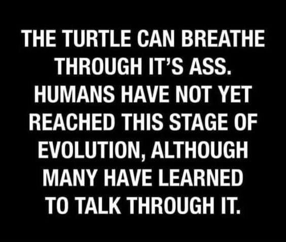 THE TURTLE CAN BREATHE THROUGH ITS ASS HUMANS HAVE NOT YET REACHED THIS STAGE OF EVOLUTION ALTHOUGH MANY HAVE LEARNED TO TALK THROUGH IT