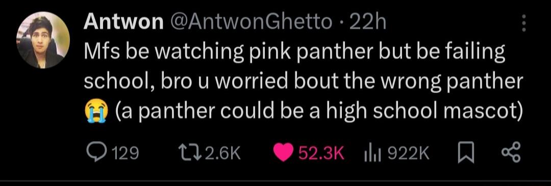 Antwon AntwonGhetto 22h Mfs be watching pink panther but be failing school bro u worried bout the wrong panther a panther could be a high school mascot Q19 MasKk 523k 1922k