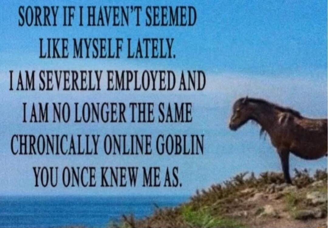 SORRY IF I HAVEN'T SEEMED LIKE MYSELF LATELY. I AM SEVERELY EMPLOYED AND I AM NO LONGER THE SAME CHRONICALLY ONLINE GOBLIN YOU ONCE KNEW ME AS.