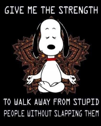 GIVE ME THE STRENGTH TO WALK AWAY FROM STUPID PEOPLE WITHOUT SLAPPING THEM
