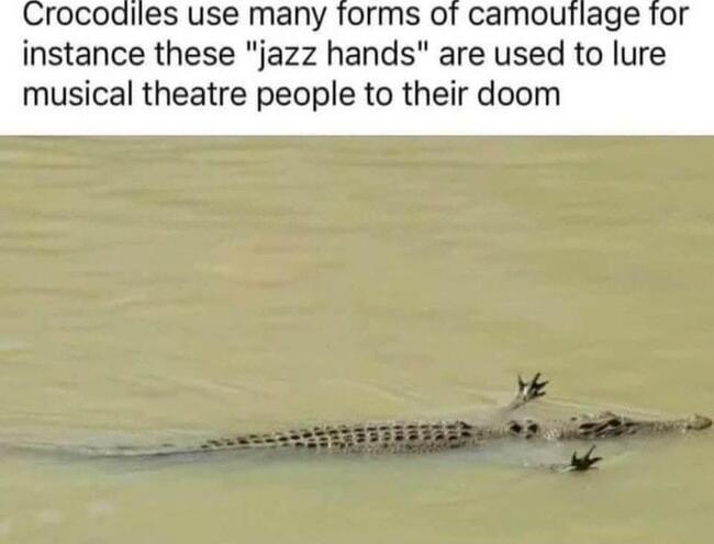 rocodiles use many forms of camouriage for instance these jazz hands are used to lure musical theatre people to their doom