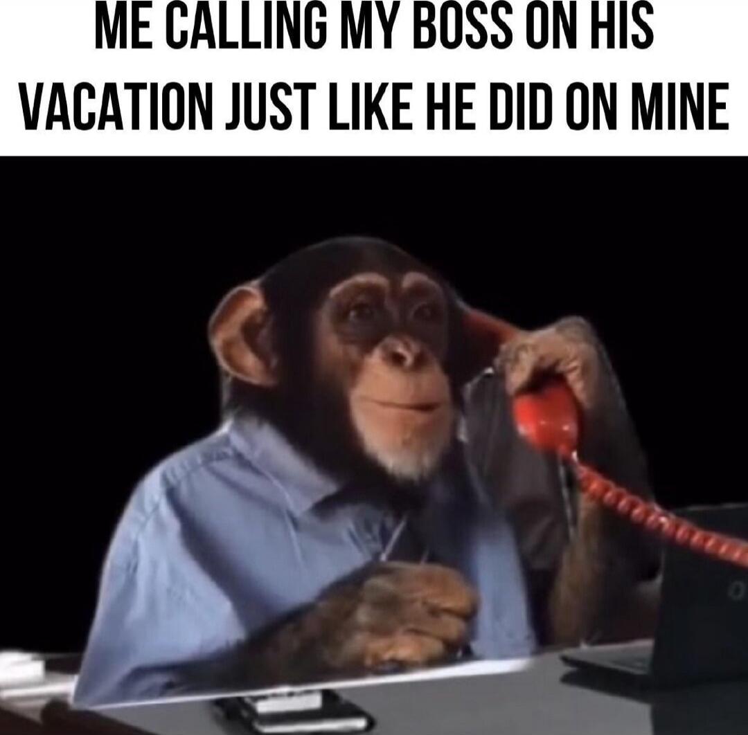 ME CALLING MY BOSS ON HIS VACATION JUST LIKE HE DID ON MINE