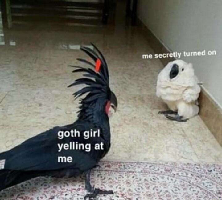 goth girl yelling at me