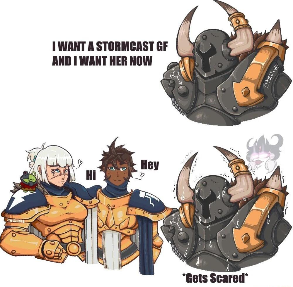 1WANT A STORMCAST GF ANDIWANTHERNOW