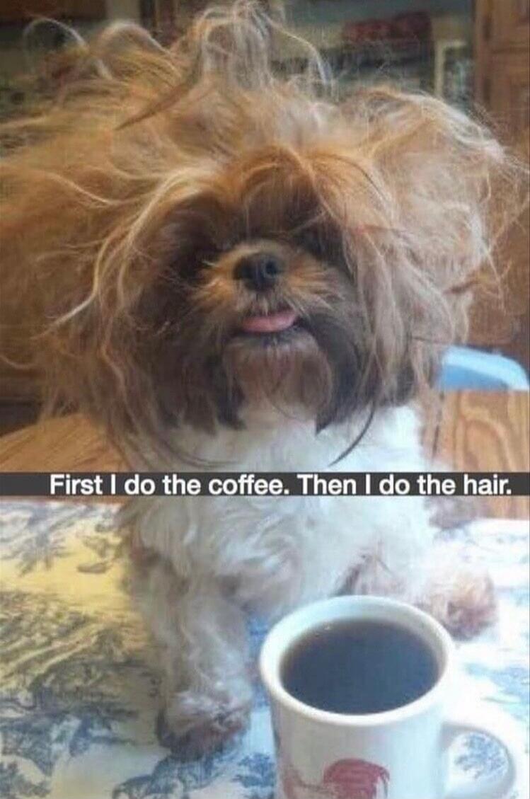 First I do the coffee. Then I do the hair.