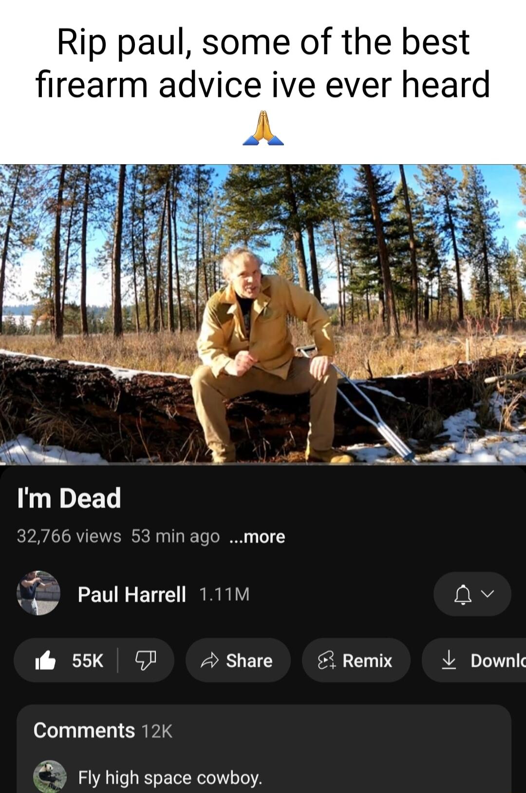 Rip paul some of the best firearm advice ive ever heard 53 min ago more RAIY v g PaulHarrell jal il 55K GP o share Remix L Downl Comments 12K Fly high space cowboy