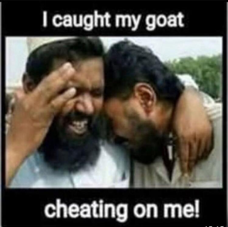 I caught my goat cheating on me!