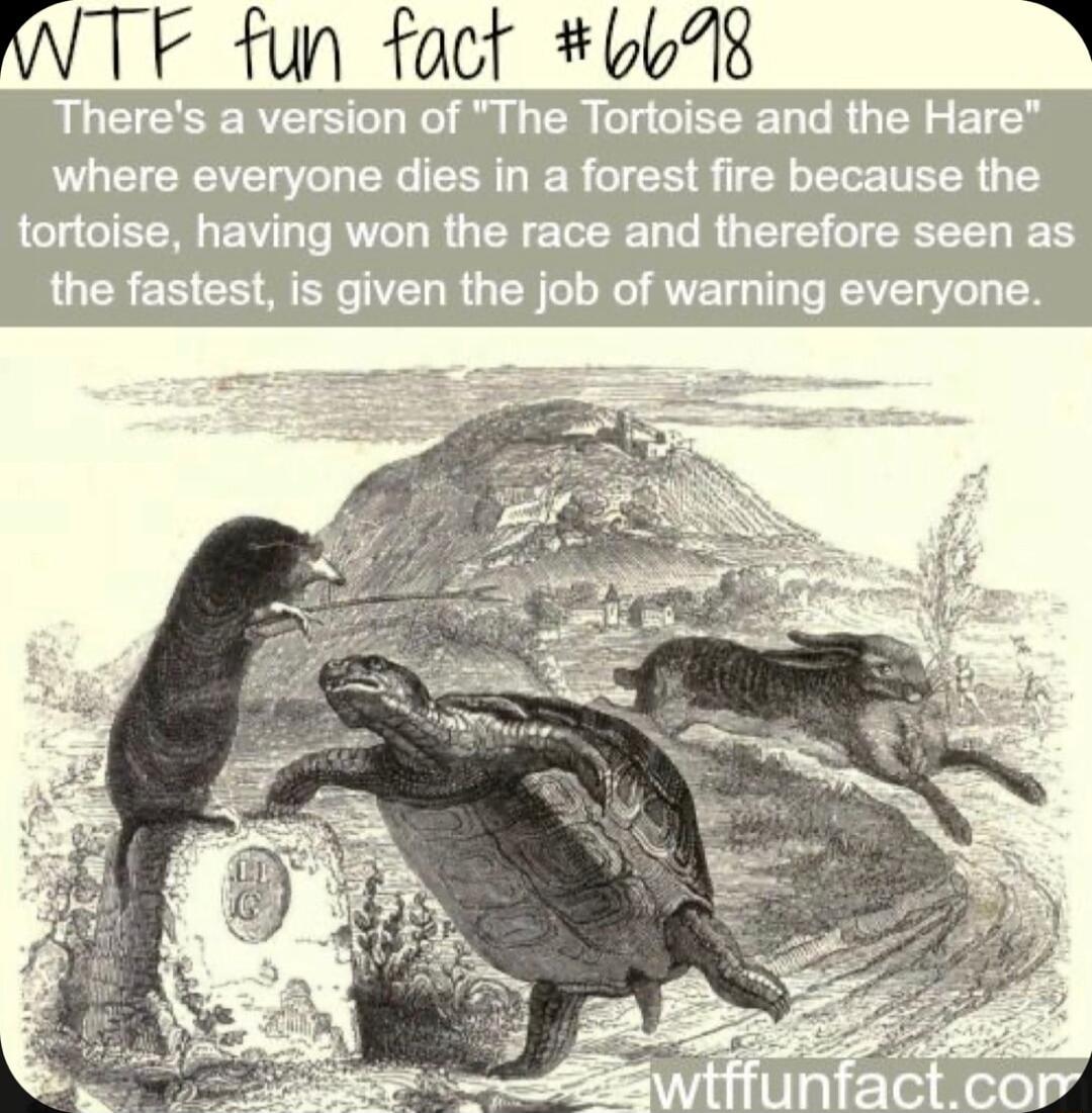 F fun fact bb78 Theres a version of The Tortoise and the Hare where everyone dies in a forest fire because the tortoise having won the race and therefore seen as the fastest is given the job of warning everyone