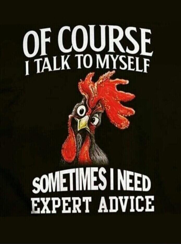 OF COURSE I TALK TO MYSELF SOMETIMES I NEED EXPERT ADVICE