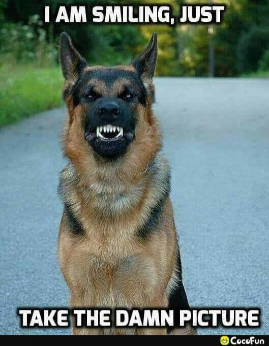 I AM SMILING, JUST TAKE THE DAMN PICTURE