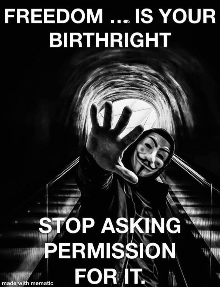 FREEDOM ... IS YOUR BIRTHRIGHT STOP ASKING PERMISSION FOR IT. made with mematic