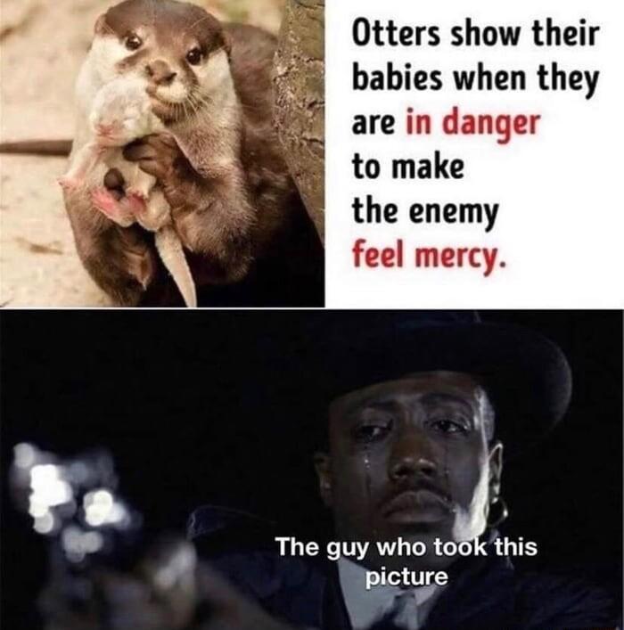 Otters show their babies when they 8 are in danger to make the enemy feel mercy B3 The guy who took this b Egguge